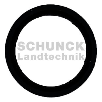 Dichtring