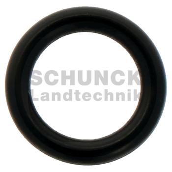 BRAGILA O Ring