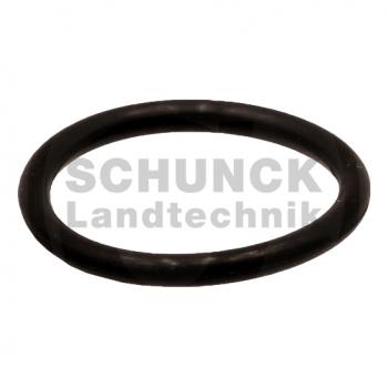 Hypro Düsendichtung