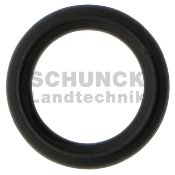 BRAGILA O-Ring