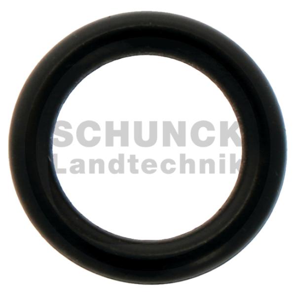 BRAGILA O Ring