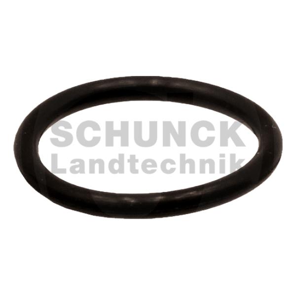 Hypro Düsendichtung